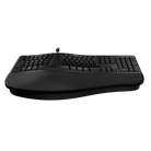 Ergonomic Keyboard Incase-Microsoft